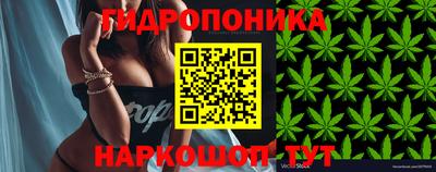 ешки Шебекино