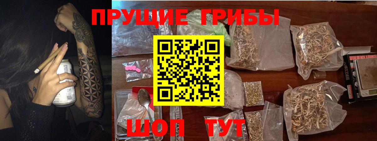 Галлюциногенные грибы мицелий Великие Луки
